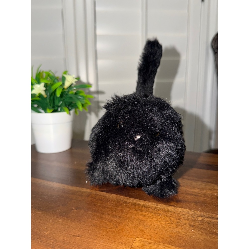 Jellycat Caboodle Kitten Black Plush Stuffed Animal KIC3B 6 Inch NWT